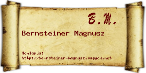 Bernsteiner Magnusz névjegykártya